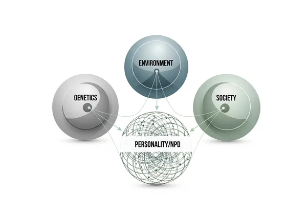 Intertwined factors: genetics, environment, society influencing NPD.